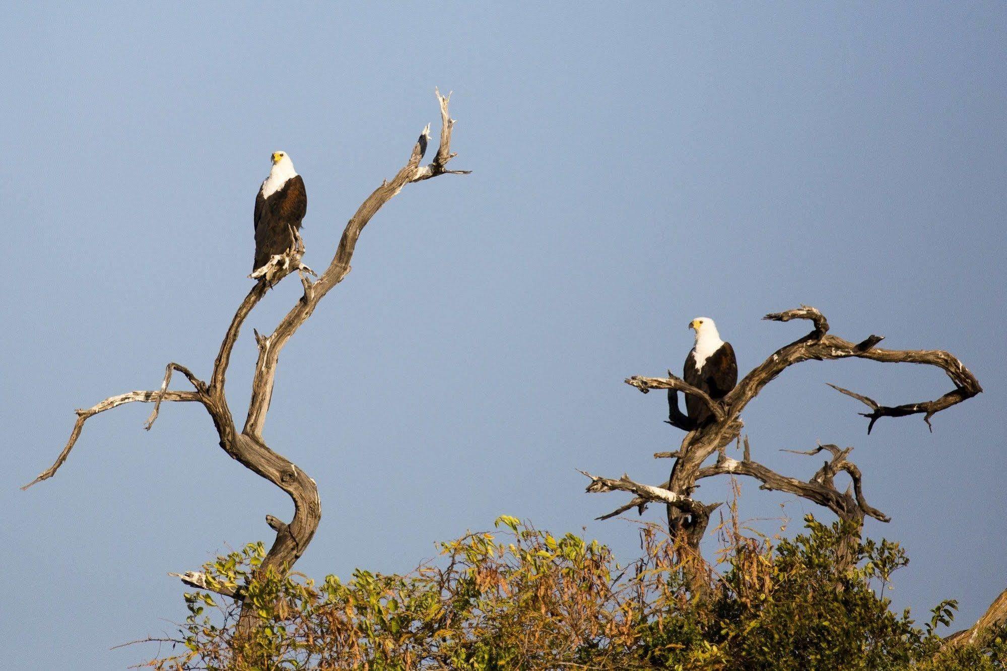 Gondwana Hakusembe River Lodge Рунду Екстер'єр фото